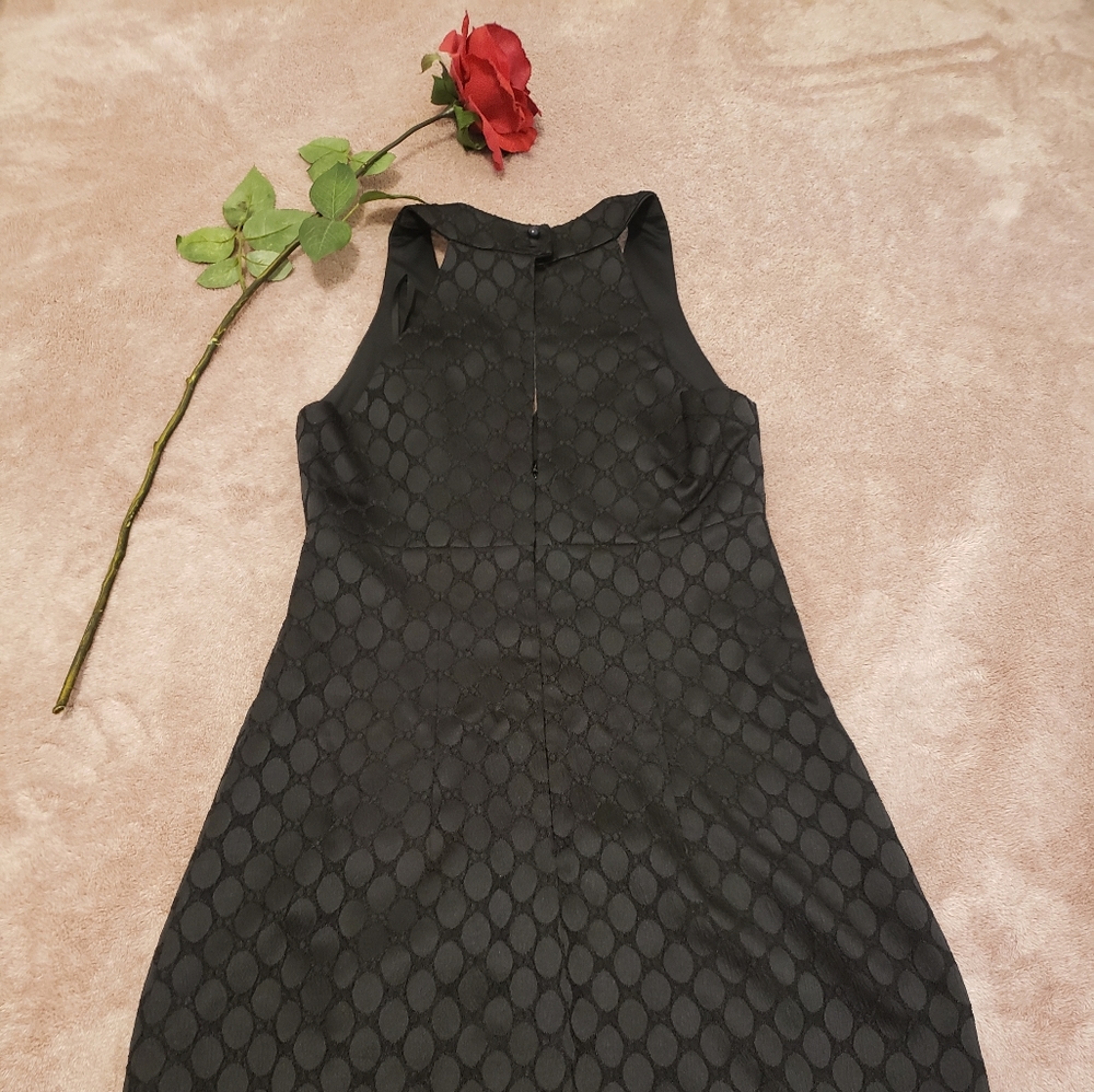 Connected Apparel Black Dress